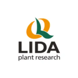 Lida